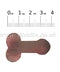 Rose Gold Willy Confetti